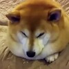 Логотип телеграм канала @s0untitled — Название съел Вениамин