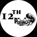 Logo saluran telegram s12thpullingomaterials — 12TH Pullingo Materials