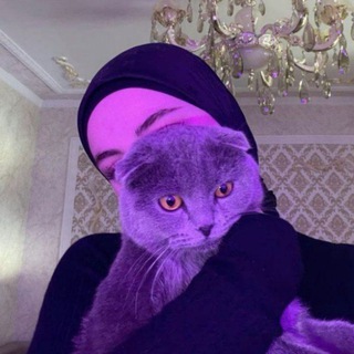 لوگوی کانال تلگرام s2ar_a — ساره جعفر || سُوسِي 🤎 .