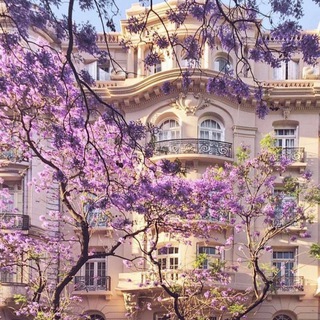 لوگوی کانال تلگرام s9_g80 — بنفسج 💜