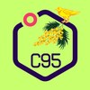 Логотип телеграм канала @s95_orekhovozuevo — C95 Орехово-Зуево