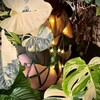 Логотип телеграм канала @s_lampa — Ламповые жители🌿💡