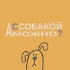 Логотип телеграм канала @s_sobakoy — А с собакой можно?