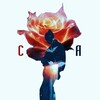 Логотип телеграм канала @sa_fmopi — СА ФМОПИ