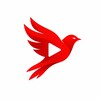 Логотип телеграм канала @saadtoyou — Saad