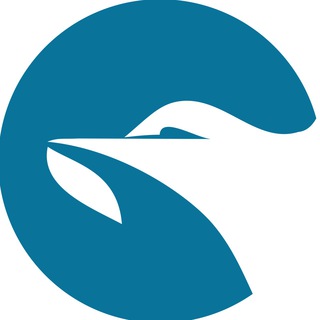 لوگوی کانال تلگرام saarmedia_ir — سار مديا