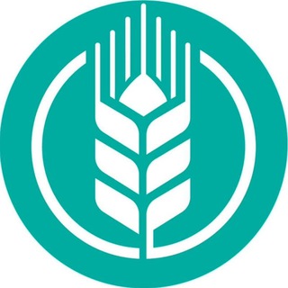 لوگوی کانال تلگرام sabadsalva — " سلوا " محصولات سالم و روستایی