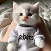 Логотип телеграм канала @saberstt11 — Хата Sabersa