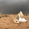 Логотип телеграм канала @sabrrisllam — дунья