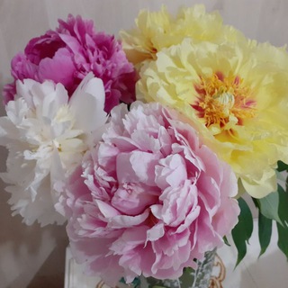 Логотип телеграм канала @sad_s_pionami — Сад с пионами 🌺 Garden with peonies 🌺