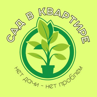 Логотип телеграм канала @sad_v_kvartire — Сад в квартире | Комнатные растения и цветы