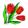 Логотип телеграм канала @sad1001 — Цветы в Саду и Дома