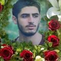 لوگوی کانال تلگرام sadeghshahid — کمپین نیکوکاری مهرصادق بیاد شهید صادق برمکی
