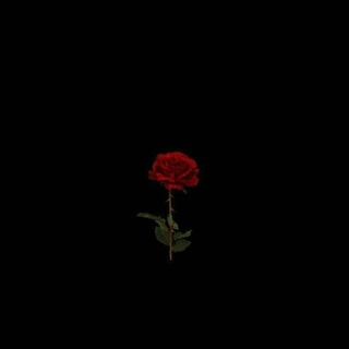 Логотип телеграм канала @sadness_mood — just sadness🥀