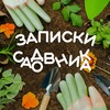 Логотип телеграм канала @sadoiogorod — Записки садовника🥕 |Дача|Сад|Огород