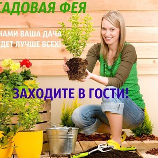 Логотип телеграм канала @sadovaja_feya — САДОВАЯ ФЕЯ - Дача. Сад и Огород