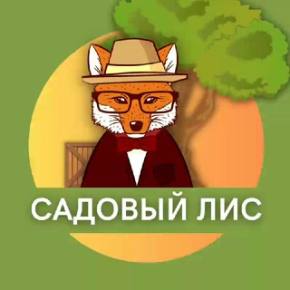 Логотип телеграм канала @sadovlis — Садовый Лис 🦊 Идеи дома для сада
