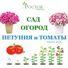 Логотип телеграм канала @sadovod4ik — ПЕТУНИЯ и ТОМАТЫ