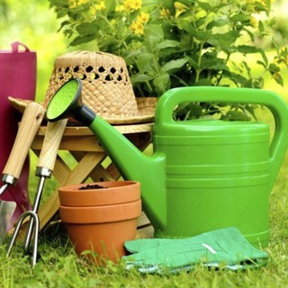 Логотип телеграм канала @sadovodussr — Садовод