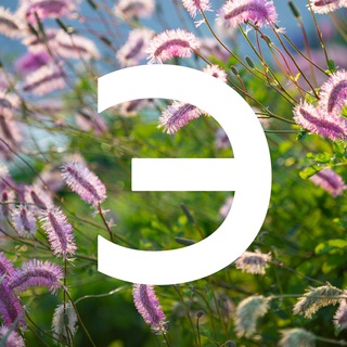 Логотип телеграм канала @sadovye_rasteniya_cvety — Садовые растения | Цветы | Энциклопедия растений