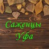 Логотип телеграм канала @sady_ufa — Саженцы | Цветы | Уфа