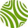 Логотип телеграм канала @safer_school — Safer School