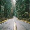 Логотип телеграм канала @saferroads — Безопасные дороги - сводка