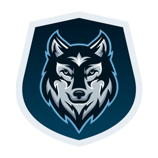 Logo of telegram channel safewolfannouncement — SafeWolf Announcement