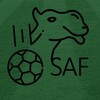 Логотип телеграм канала @saffootball — Футбол Саудовской Аравии | Саудовская Про-Лига | Азиатская Лига Чемпионов