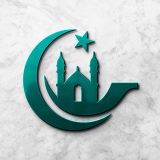 Telegram channel Safina.uz - Najot kemasi logo