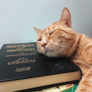 Логотип телеграм канала @safiyatutor — Arabictutor