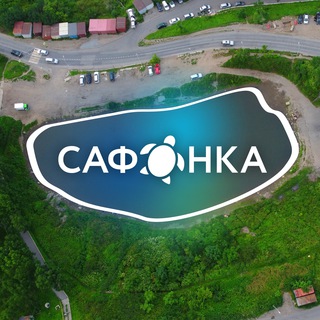 Логотип телеграм канала @safonkavdk — Сафонка 🐢