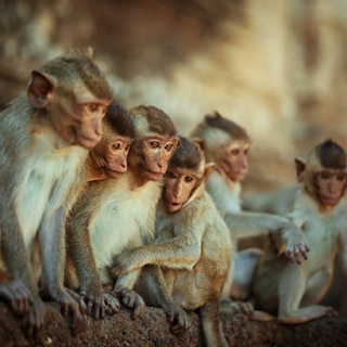 Логотип телеграм канала @safronovtravel — Travel Photo