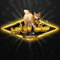 Telegram channel سگ دونی logo