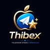 Логотип телеграм канала @saghiservice — Thibex