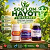 Telegram kanalining logotibi saglom_hayotuz — SOG'LOM HAYOT SIRLARI