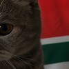 Логотип телеграм канала @sagrailezgiyar_15 — лезгины любят.
