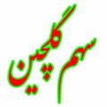 Logo saluran telegram saham_goolchin — سهم گلچین