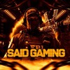 Telegram channel Said_Gaming Official logo