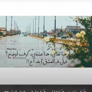 لوگوی کانال تلگرام saif_iq7 — 👤يـنآيـرٍ🎻