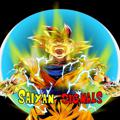 Logo saluran telegram saiyansignals — 🔥 Saiyan Signals 🔥CrossChain