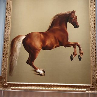 Логотип телеграм канала @sakhaliferu — SakhaLife