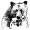 Логотип телеграм канала @sakhalin_stories — Сахалинские истории.