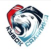 Логотип телеграм канала @sakhhockey — Кубок Сахалина