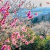 电报频道的标志 sakjfasefw2efe — 系统 支付 加密 云盘