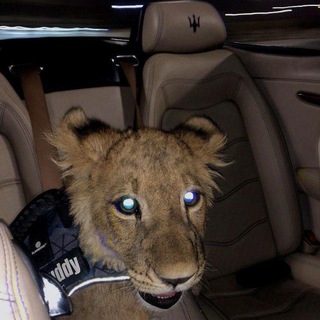 Логотип телеграм канала @sakkarow — Slushai | Ｍｙｕｚｉｋｌ🎶