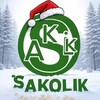 Логотип телеграм канала @sakolikcrypto — Sakolik Сrypto