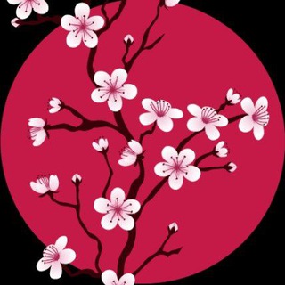 لوگوی کانال تلگرام sakuramichi — Sakuramichi桜道🌸