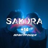 Логотип телеграм канала @sakuuraaaaaaaa — SAKURA