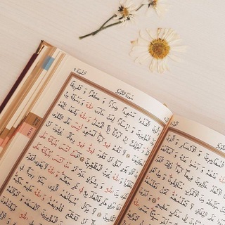 Логотип телеграм канала @salafym — 🦋✯✯✯✯sᴀʟᴀфყ حراء ✯✯✯✯🦋